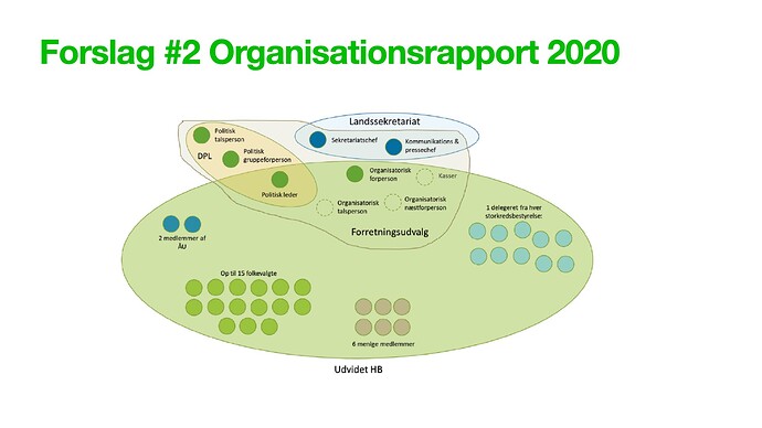 Forsalg #2 organisationsrapport 2021