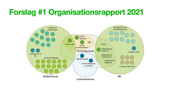 Forslag #1 organisationsrapport 2021