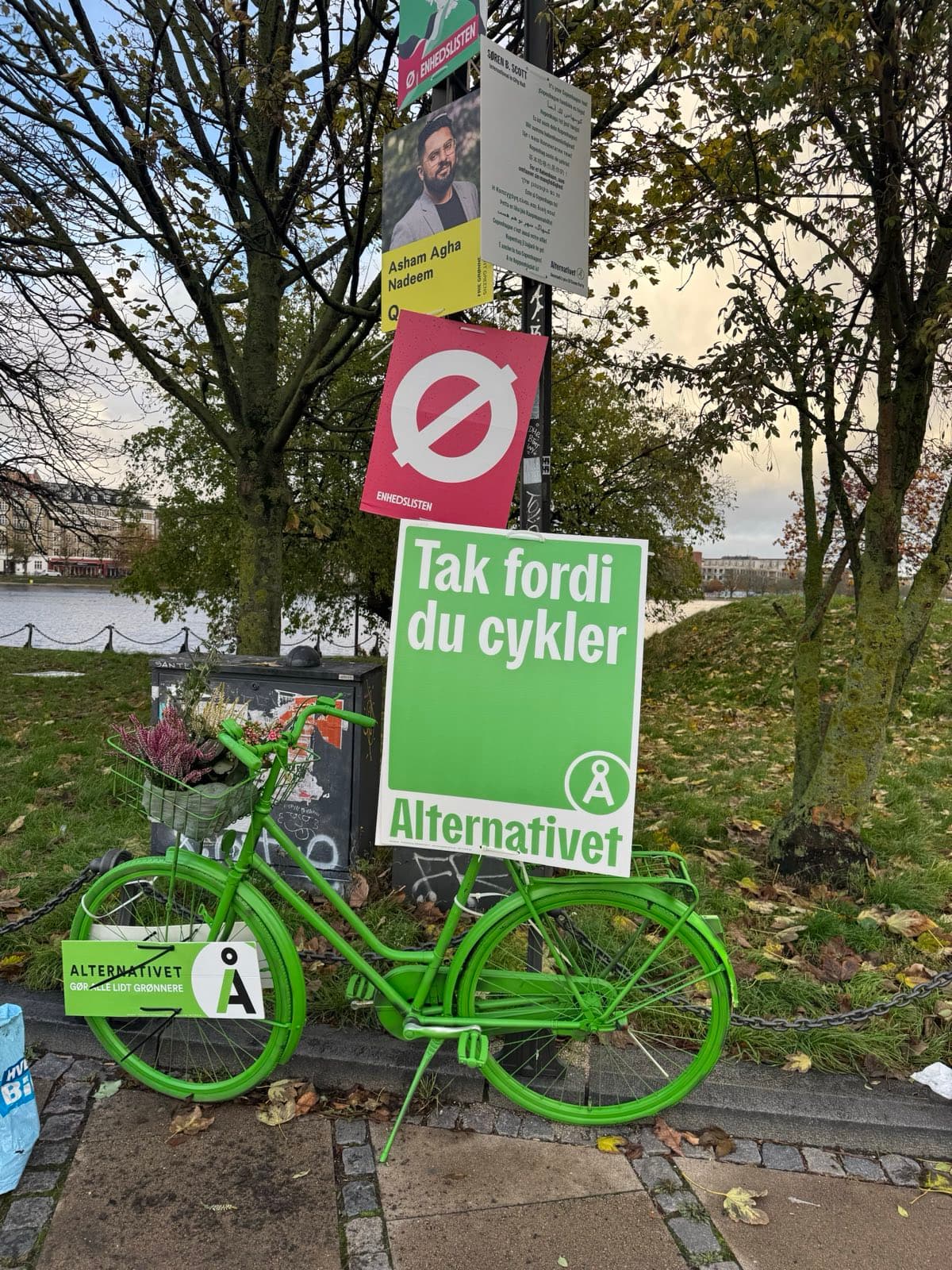 Grøn cykel II